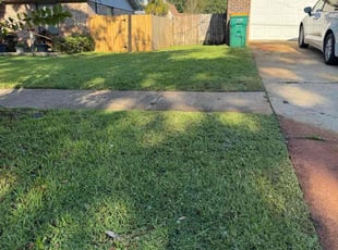 Citlali P.'s lawn care service result