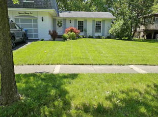 Casandra S.'s grass cutting service result