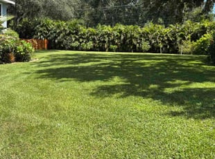 Olumide O.'s grass maintenance service result