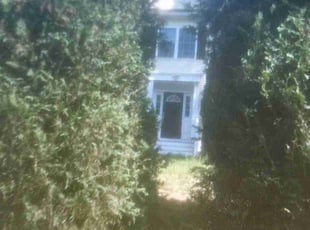 Eme A.'s Bush Trimming service result