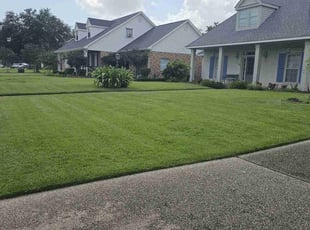 Kenneth W.'s turf care service result
