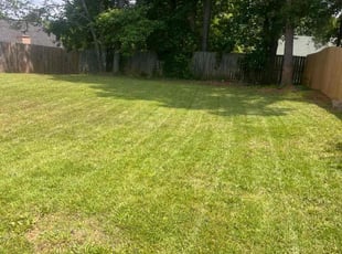 Daize M.'s lawn maintenance service result