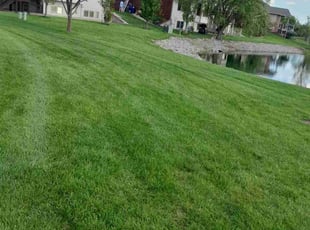 Rindy B.'s turf maintenance service result