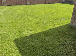 Toni R.'s lawn maintenance service result