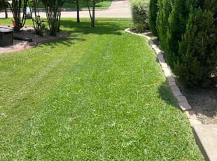 Christine B.'s grass cutting service result