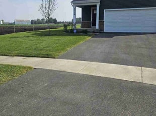 Pete L.'s turf care service result
