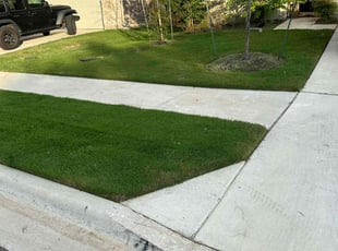 Lisa S.'s yard care service result