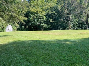 Sheila V.'s lawn service service result