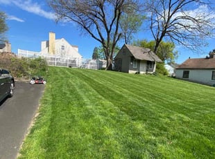 Richard B.'s lawn care services service result