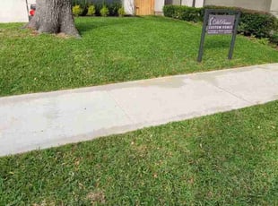 Carlo W.'s lawn care service result