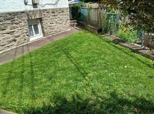 Ivette D.'s turf maintenance service result