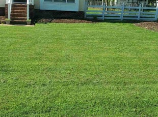 Joel E.'s yard maintenance service result