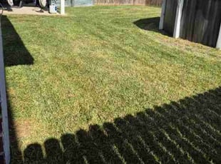 Charmaine W.'s lawn care services service result