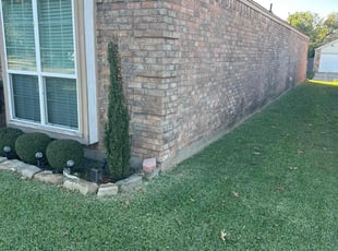 Brian B.'s grass maintenance service result