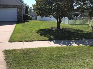 Deb L.'s turf maintenance service result