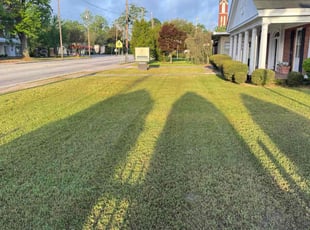 Tristan S.'s grass cutting service result
