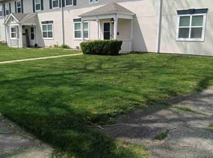 Kelly E.'s lawn service service result