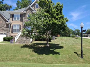 Daniel S.'s turf care service result