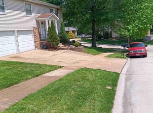 Renee J.'s lawn care service result