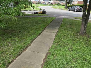 Tanner H.'s grass cutting service result