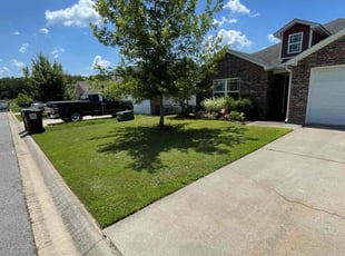 Tim L.'s grass maintenance service result