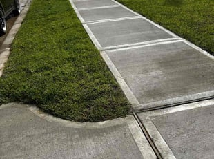 Fiona M.'s lawn care service result