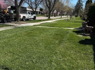 Deoundrea K.'s lawn maintenance service result