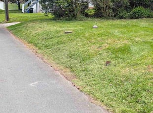 Gene S.'s lawn maintenance service result