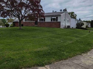 Steven S.'s lawn maintenance service result