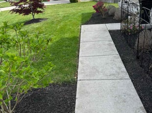 Alesha W.'s lawn service service result