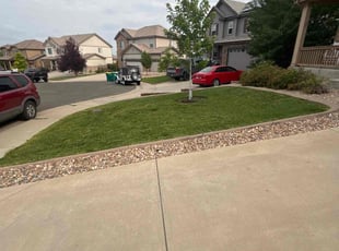 Jan M.'s lawn service service result