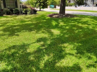 Latecia W.'s landscaping services service result