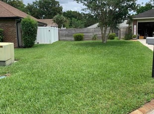 Jp T.'s turf care service result