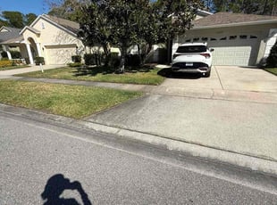 Alexis S.'s lawn care service result