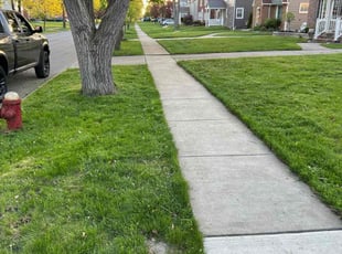 Antonio B.'s turf care service result