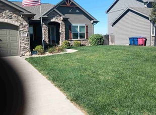 BK K.'s turf care service result