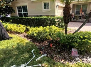 Moe V.'s Bush Trimming service result