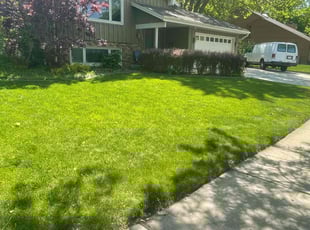 Matthew W.'s grass cutting service result