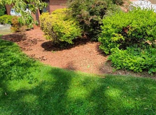 William E.'s Cleanups service result