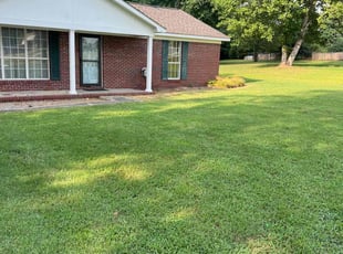 Michael P.'s lawn service service result