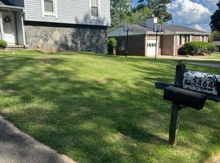 Lisa H.'s lawn care service result