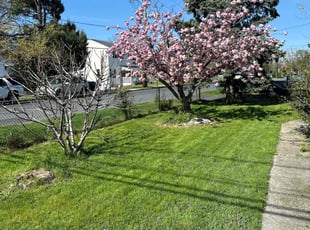 Rashanda S.'s lawn service service result