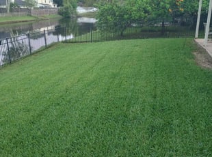 Nicole N.'s turf maintenance service result