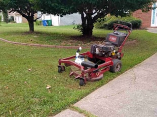 Juan C.'s lawn care services service result