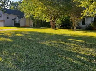Drew G.'s grass cutting service result
