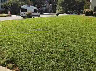 Todd M.'s lawn care service result