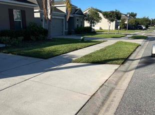 Sean M.'s grass cutting service result
