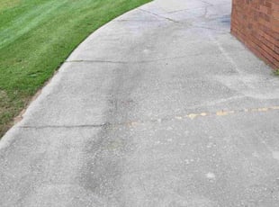 Anthony A.'s lawn care service result
