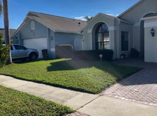 Nina M.'s turf maintenance service result