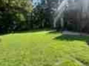Karim K.'s grass maintenance service result